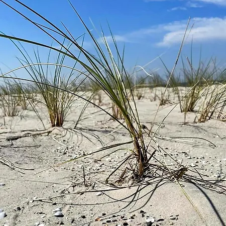 Ferienbungalow Kahmann 아파트 *