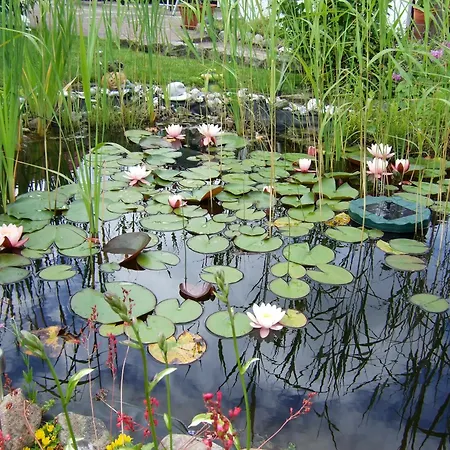 Ferienbungalow Kahmann 아파트